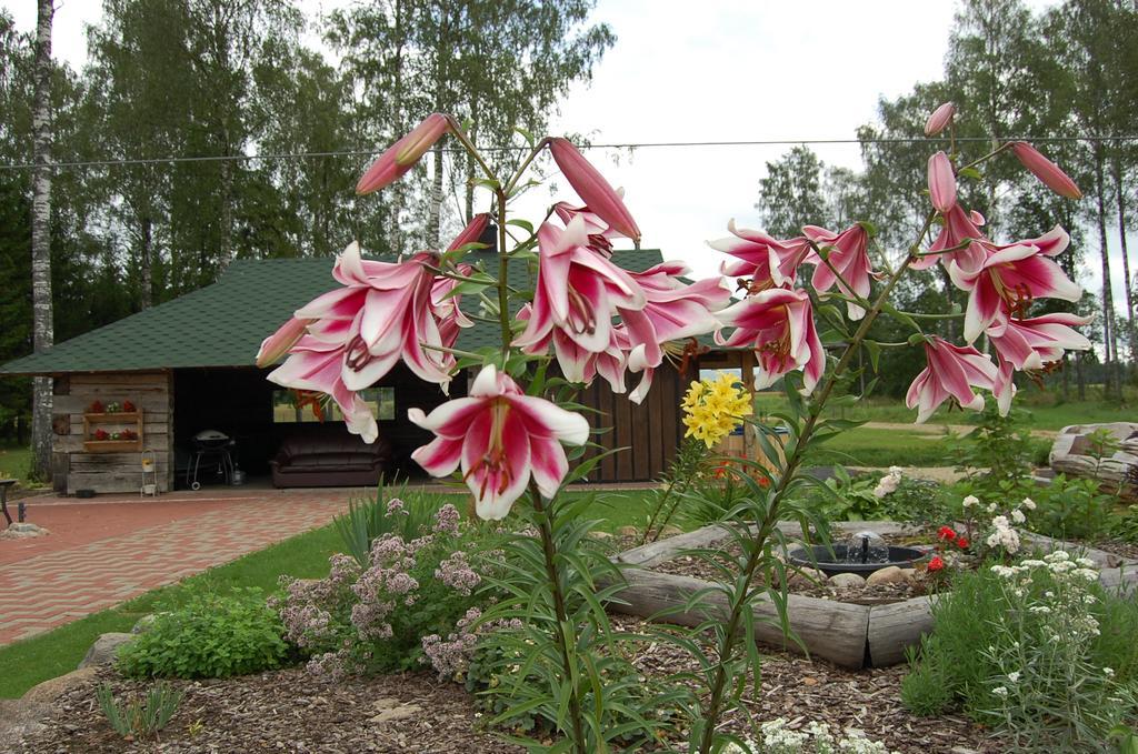 Spa Glamping Kirikumoisa Bagian luar foto